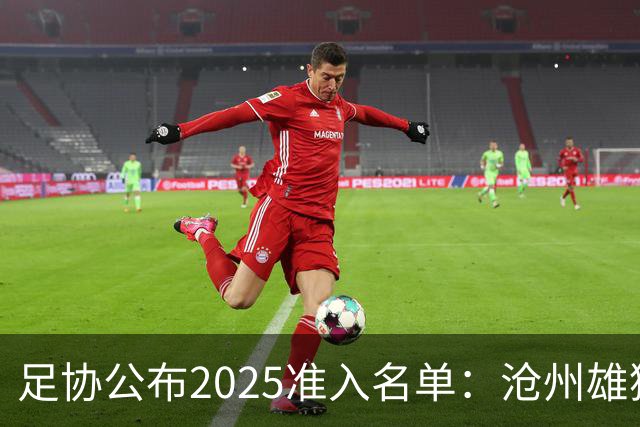 足协公布2025准入名单：沧州雄狮、广州队无缘